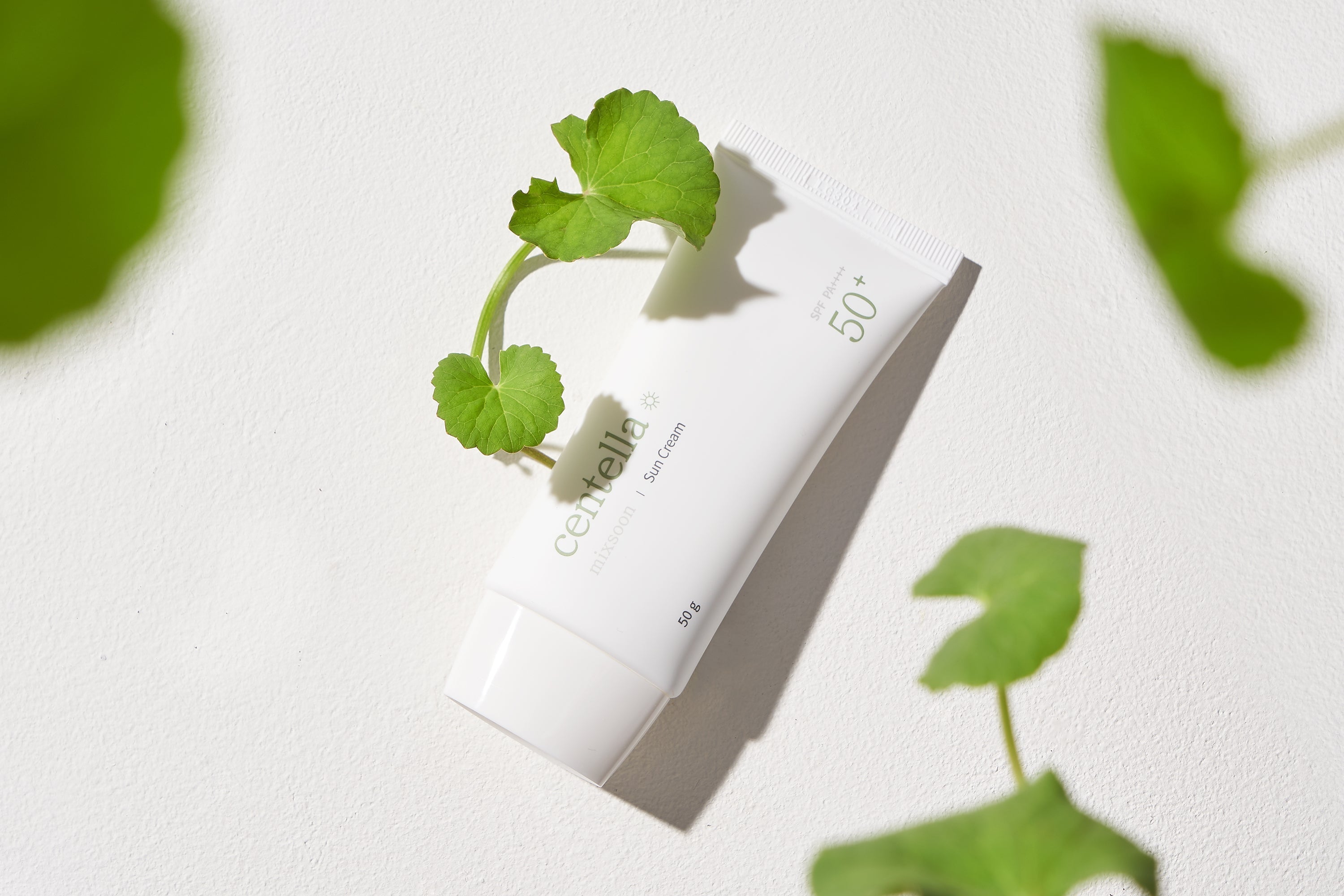 Why Centella Asiatica Is the Secret Ingredient in Your Sunscreen